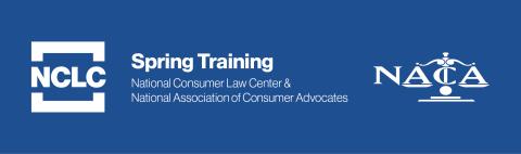 Image of NCLC-NACA Spring Training Banner (Blue)