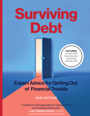 image of the front cover of Surviving Debt