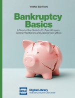 Front cover of the book Bankruptcy Basics: a cracked piggy bank against a gray background, the title Bankruptcy Basics in green text