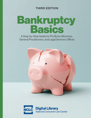 image of the front cover of Bankruptcy Basics 