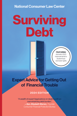 image of the front cover of Surviving Debt