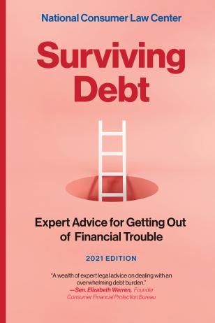 Surviving Debt print edition cover image (a white ladder extending out of a hole)